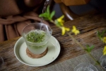 綠茶，正確沖泡法！