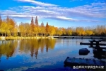 捧回華為大獎(jiǎng)！河南硬核學(xué)霸：跨專業(yè)保研清華，研究“...