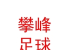 西藏攀峰足球俱樂部有限公司
