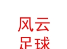 西藏風(fēng)云足球俱樂部有限公司