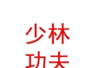 山西延洞少林武魂功夫演出有限公司