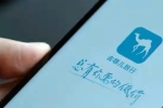 “去哪兒”回應(yīng)不同手機定酒店差價大：正常，導(dǎo)致差價...
