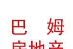 西藏巴姆房地產(chǎn)經(jīng)紀(jì)有限公司