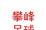 西藏攀峰足球俱樂部有限公司