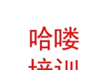 拉薩市城關(guān)區(qū)哈嘍藝術(shù)培訓(xùn)有限公司