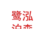內(nèi)蒙古鷺泓泊森考古勘探有限公司