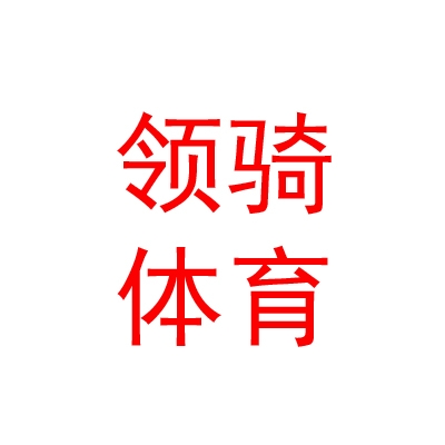 山西領(lǐng)騎體育文化有限公司