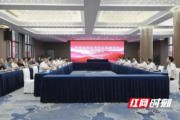 茶陵縣低空經(jīng)濟產(chǎn)業(yè)發(fā)展項目正式簽約